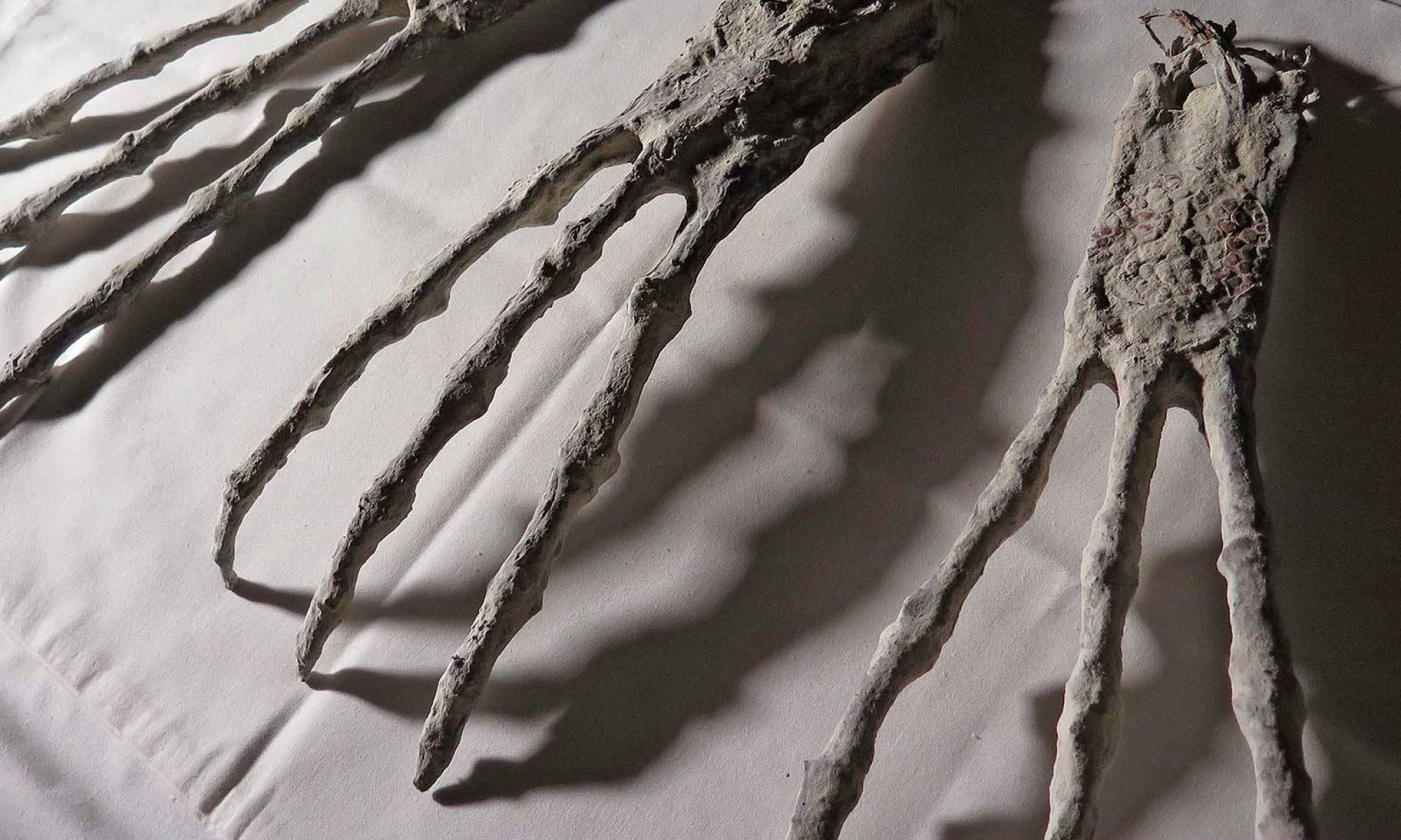 Tridactyl Mummies of Nazca