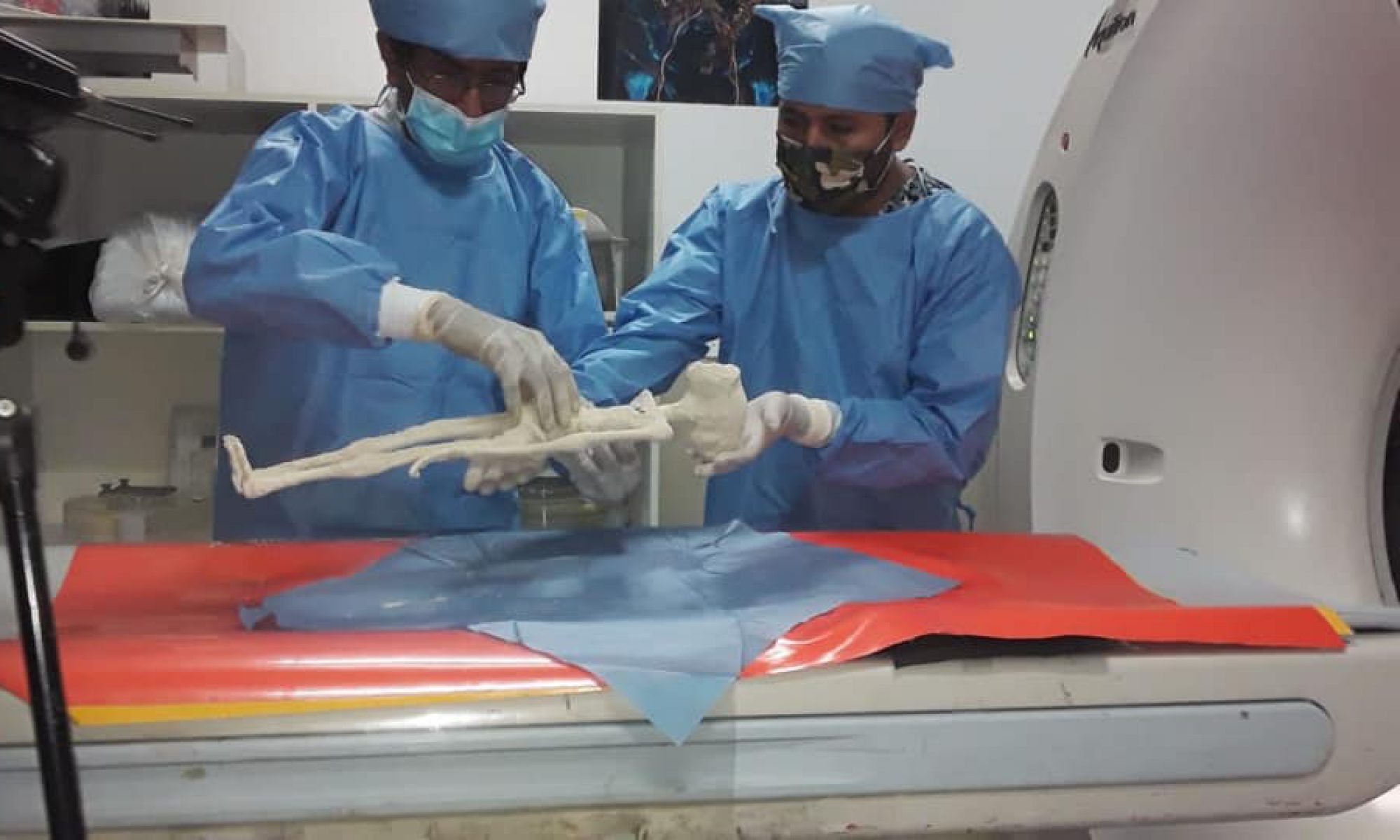 Tridactyl Mummies of Nazca